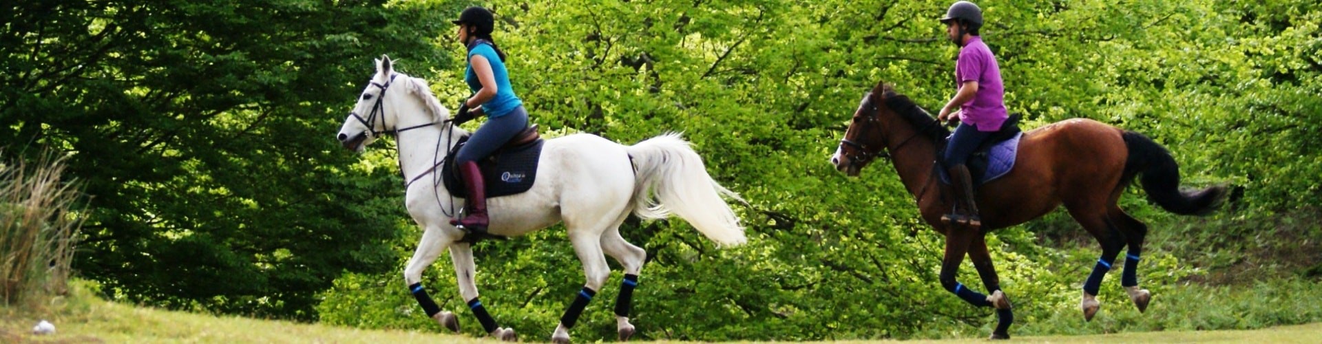 Horse Riding in Madeira Island