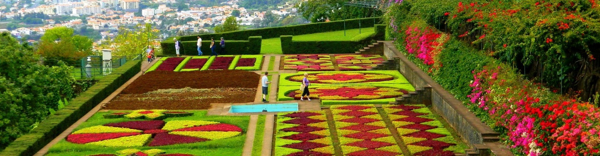 Madeira Island Gardens