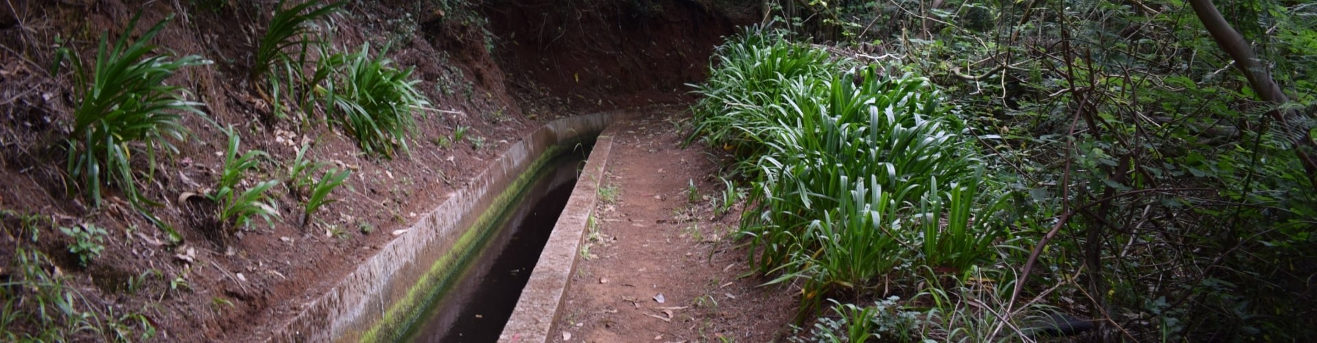 Among Valleys Levada Walk in Camacha