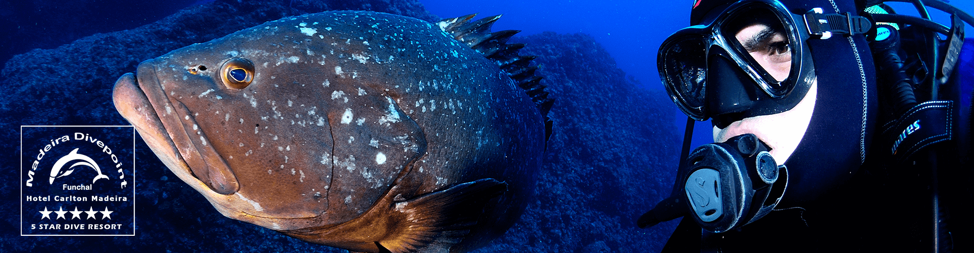 Madeira Divepoint Diving Center in Funchal Madeira