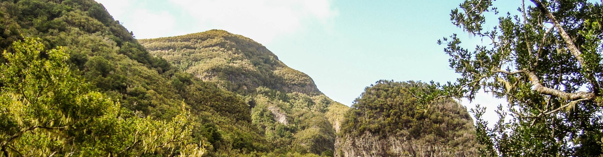 Chao dos Louros Easy trail tour in Madeira Island