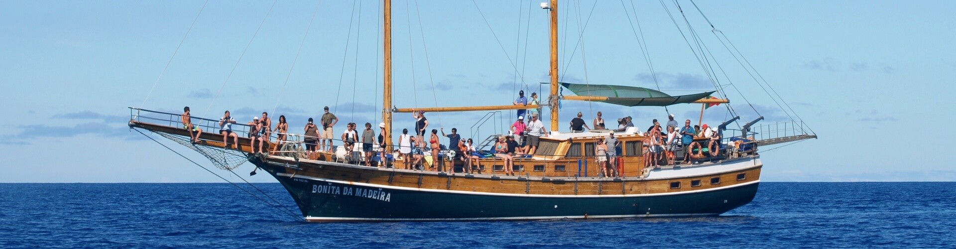 Dolphins & Whales Boat Trip from Funchal, Madeira