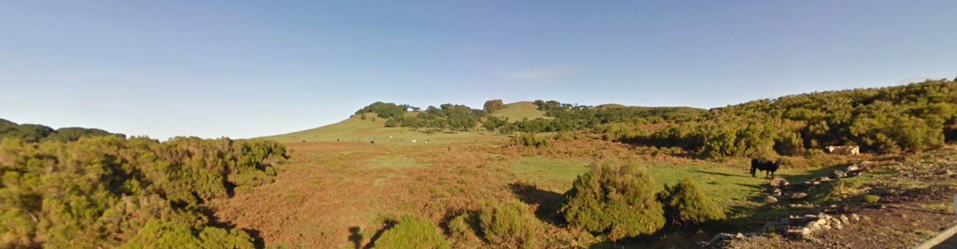 Fanal Leisure Area in Madeira Island Parks