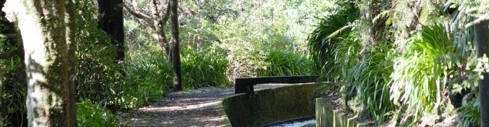 Folhadal Levada Walk in Madeira Island