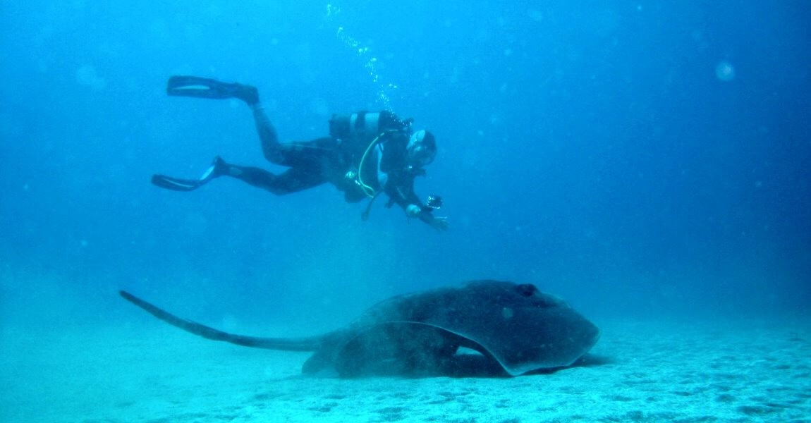 Try Scuba Diving in Caniçal Madeira