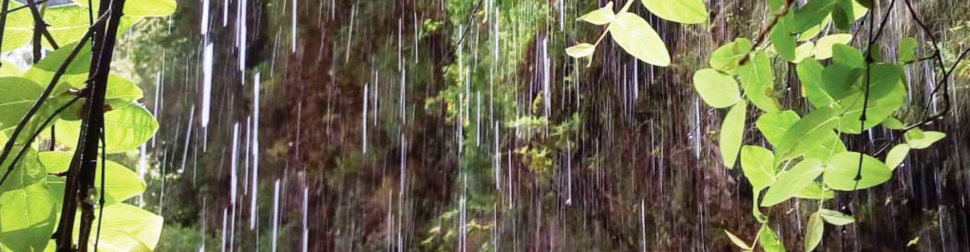 Hells River Levada Walk Madeira