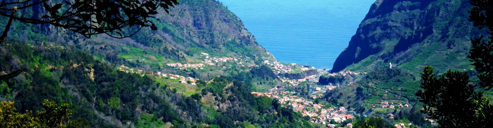 Half Day North Tour Excursion on a MiniBus Madeira