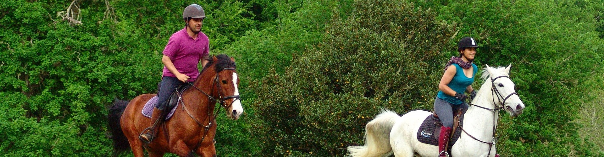 Forest Trail Horse Riding in Madeira Island