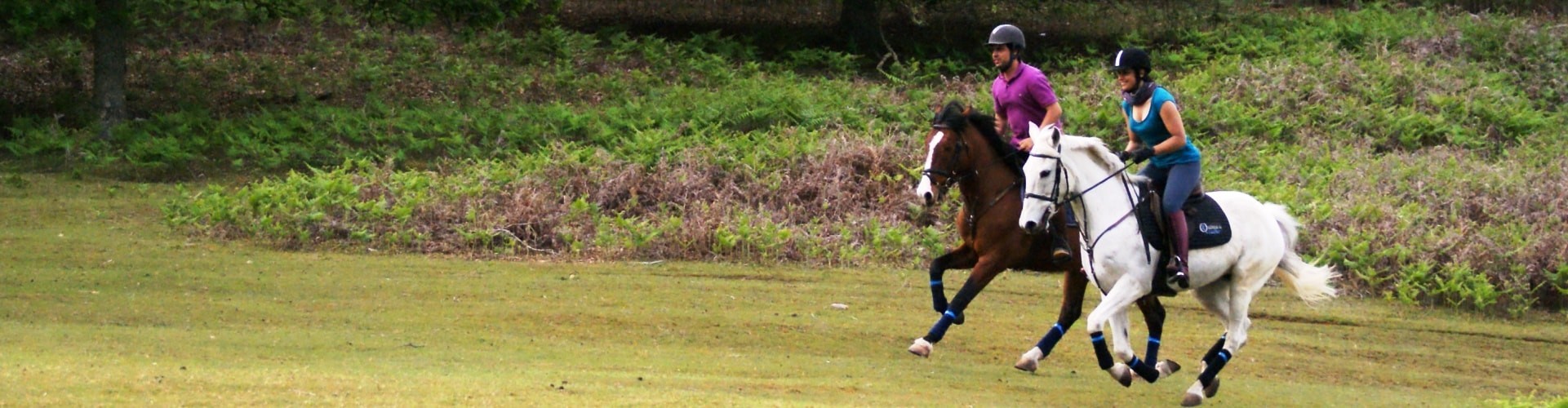 Pony Experience in Madeira Island