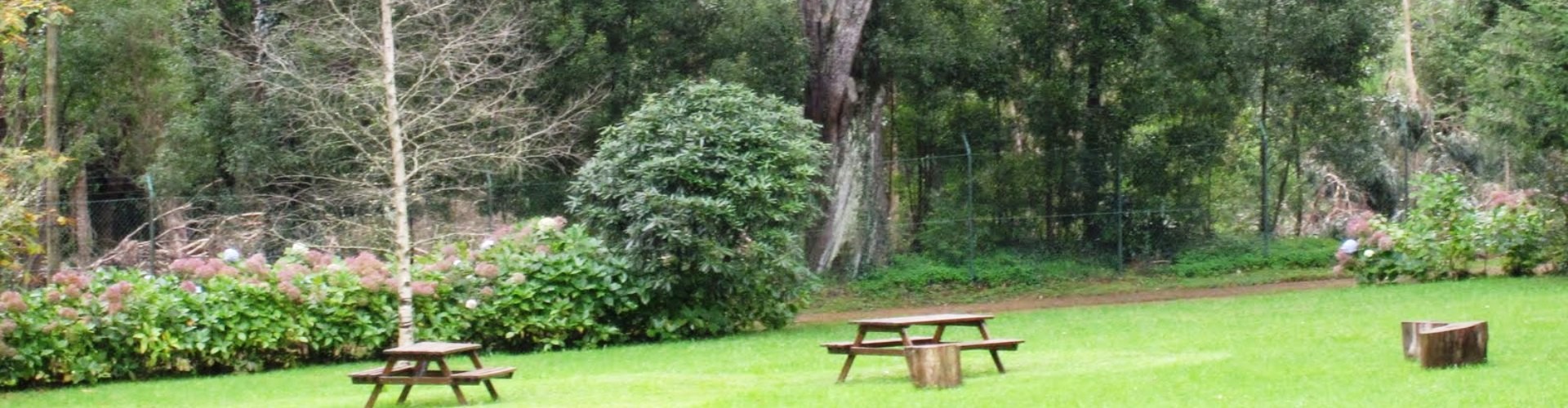 Jardim da Quinta da Junta Garden, Santo Antonio da Serra, Madeira