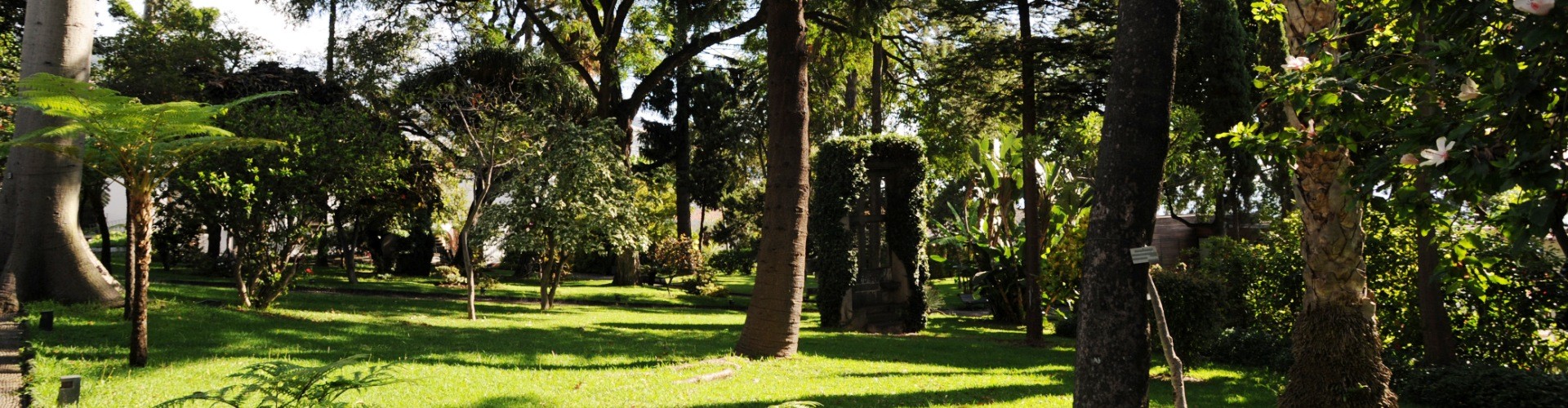 Jardim Quinta das Cruzes Gardens, Funchal, Madeira Island