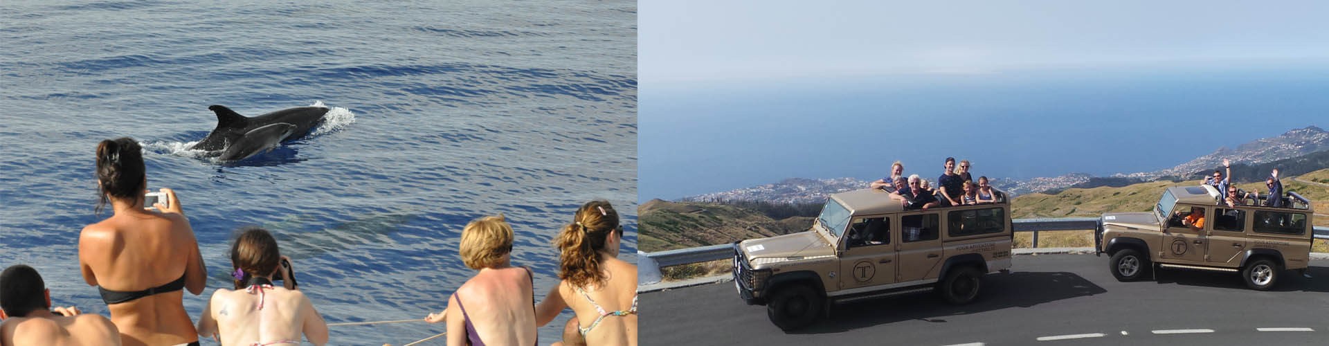 Jeep Tour plus Dolphins Watching Combo from FUnchal, Madeira