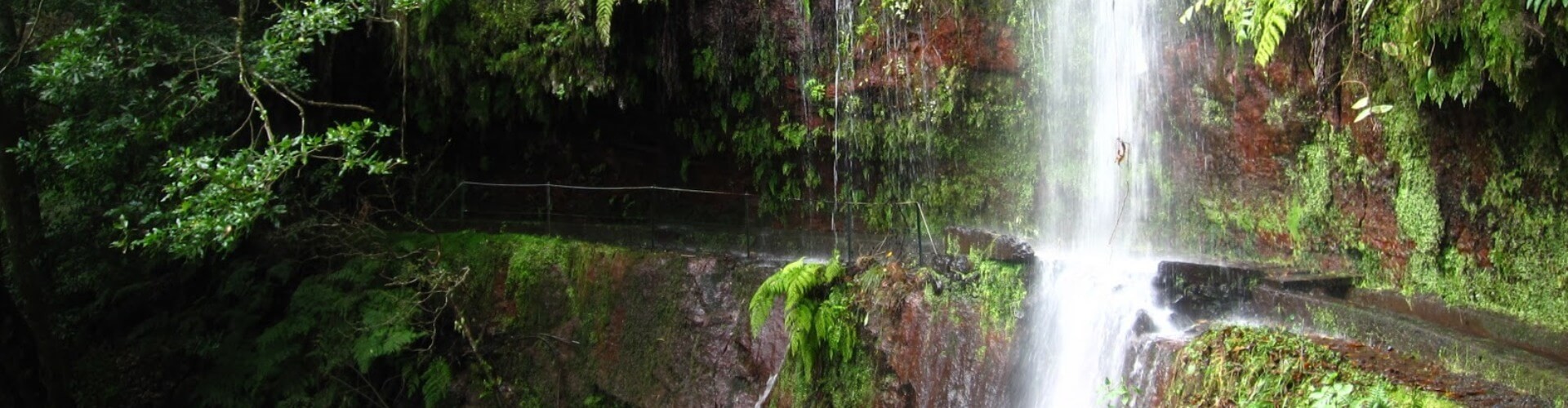 Levada do Rei Ribeiro Bonito Levada Walk