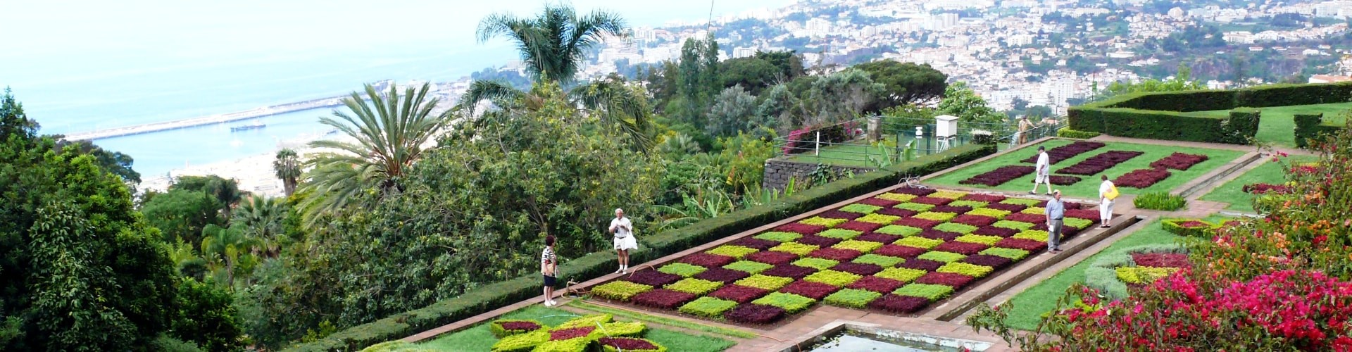 Private Garden Tour in Madeira Island Half Day