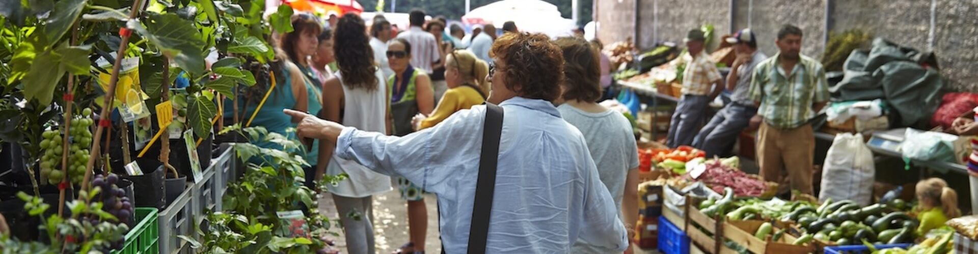 Madeira Market Jeep Tour