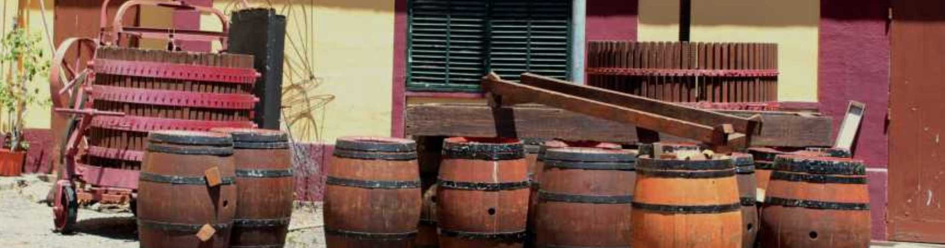 Madeira Wine Walk Tour