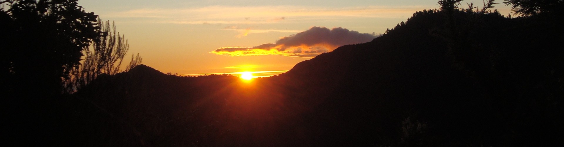 Miradouro Ribeiro Frio Viewpoint - Madeira Island