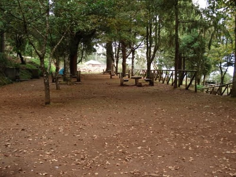 Parque Florestal do Pico das Pedras Forest Park, Santana, Madeira