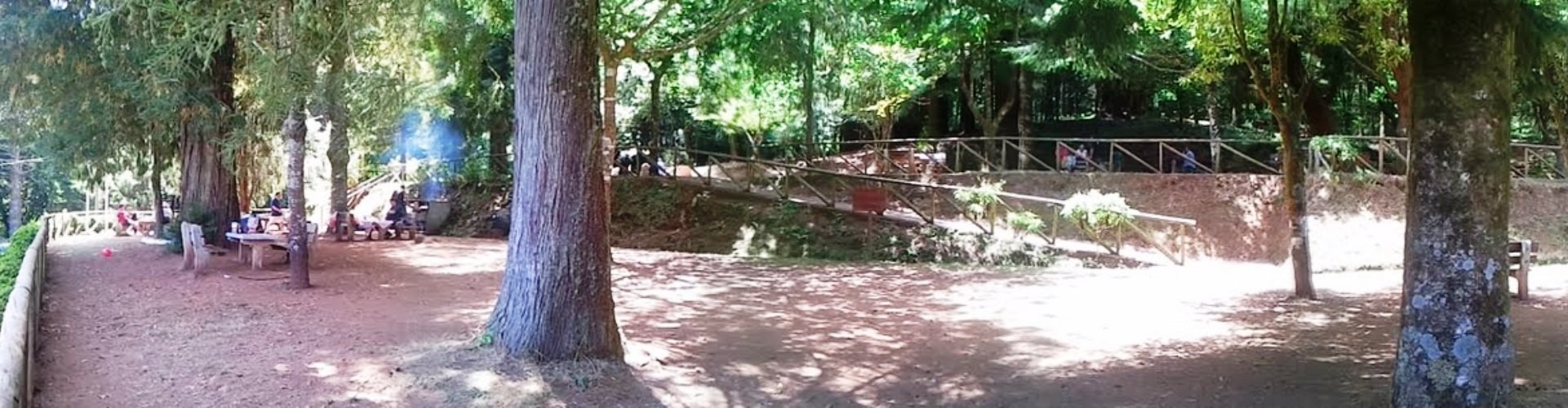 Parque Florestal do Pico das Pedras Forest Park, Santana, Madeira