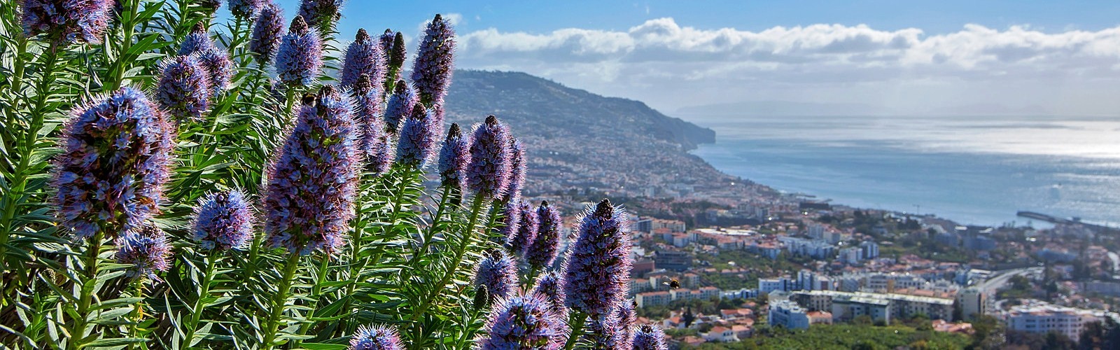 Pico dos Barcelos Viewpoint in Funchal, Madeira