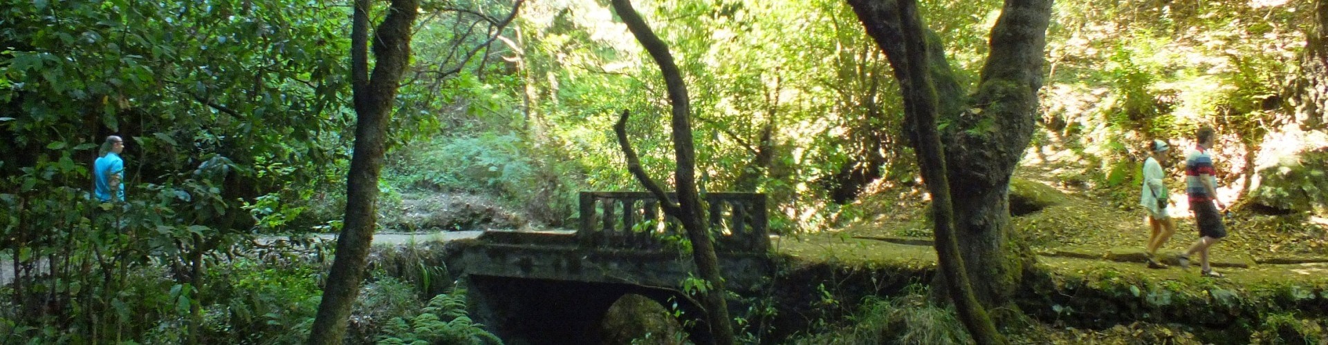 PR11 Vereda dos Balcoes Walk in Madeira Island