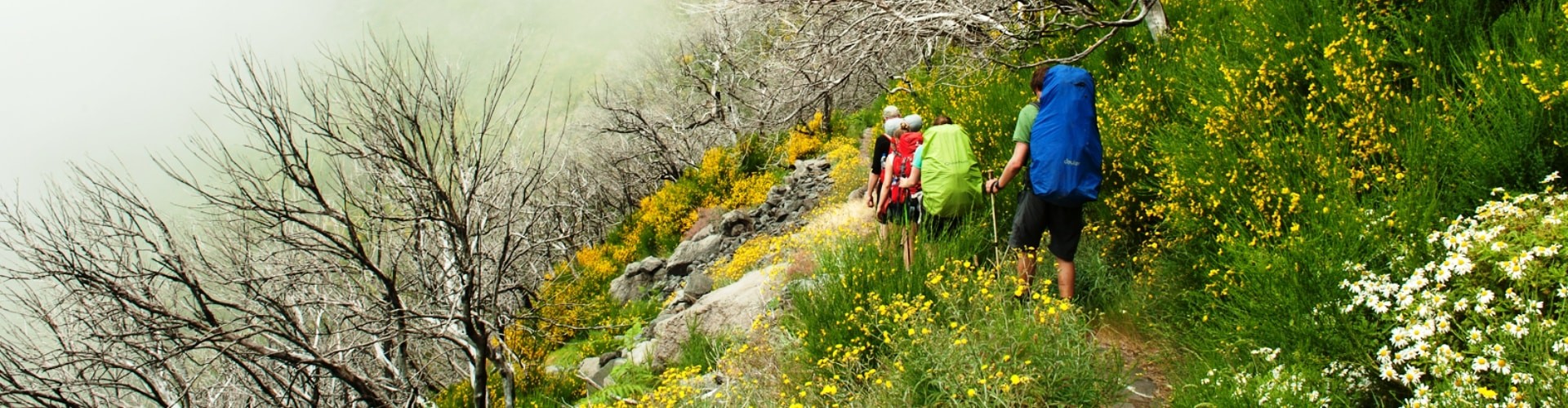 The PR1.3 Vereda da Encumeada Hiking Trail in Madeira