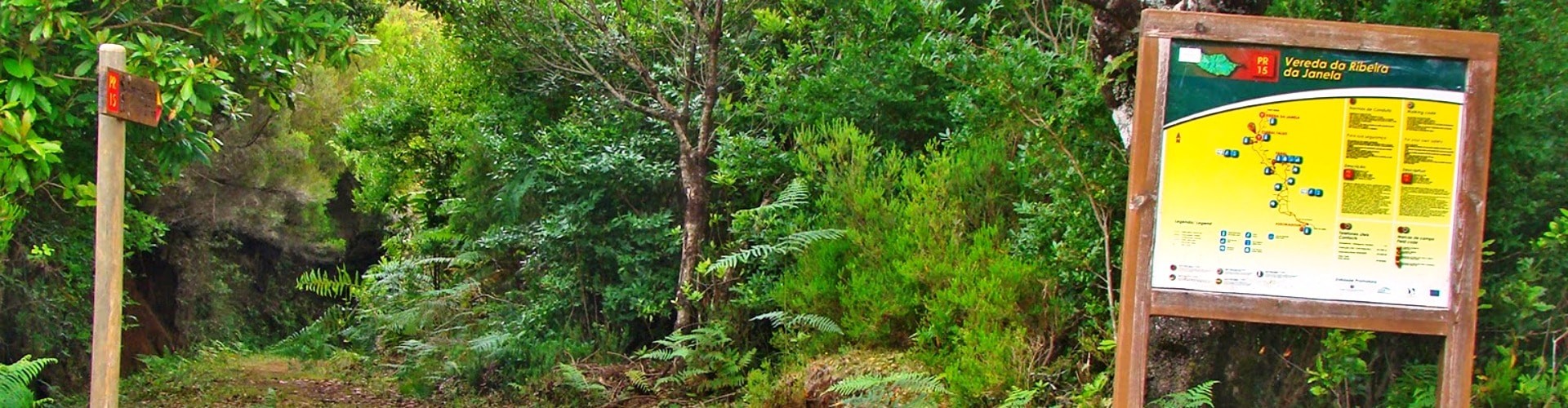 PR15 Vereda da Ribeira da Janela Hiking Trail in Madeira