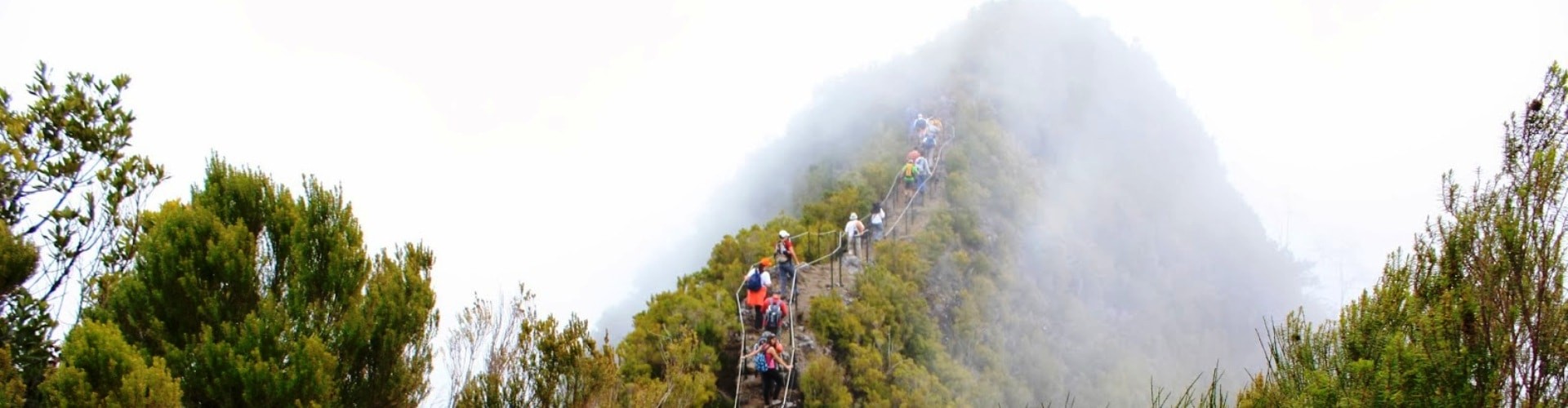 PR17 Caminho do Pinaculo e Folhadal Hiking Trail in Madeira