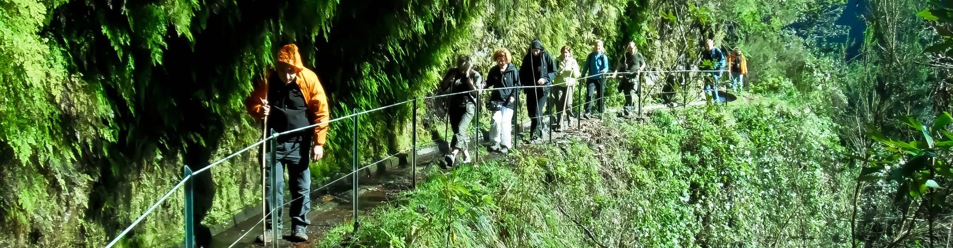 PR18 Rei Levada Walk in Madeira Island