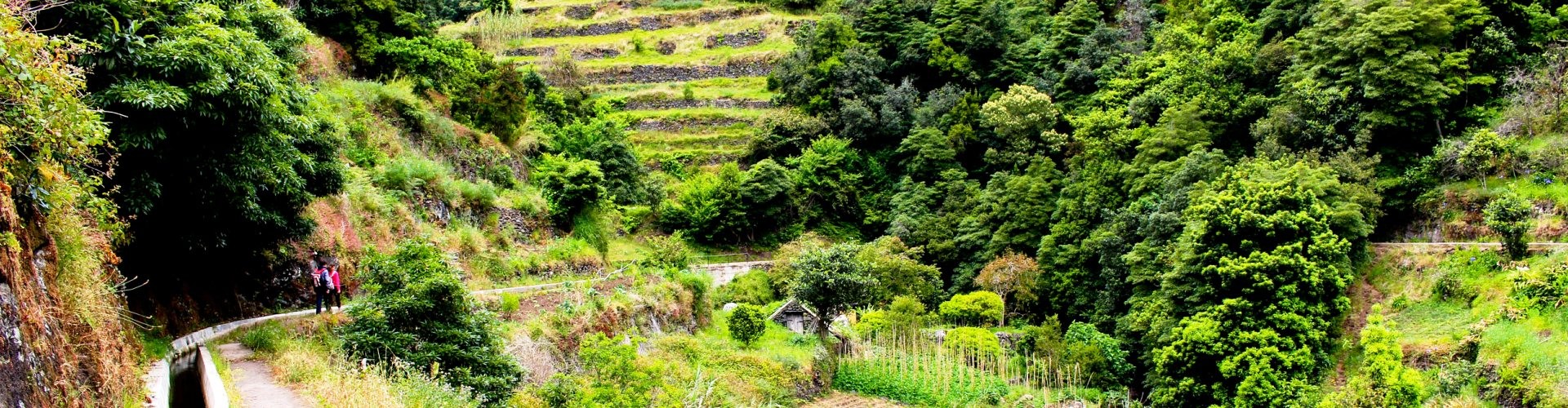 PR5 Vereda das Fonduras Hiking Trail in Madeira