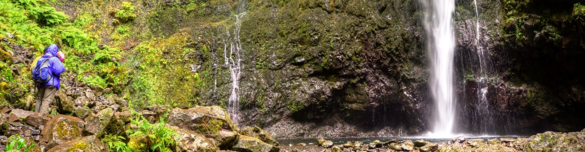 PR9 Caldeirão Verde Levada Walk in Madeira Island