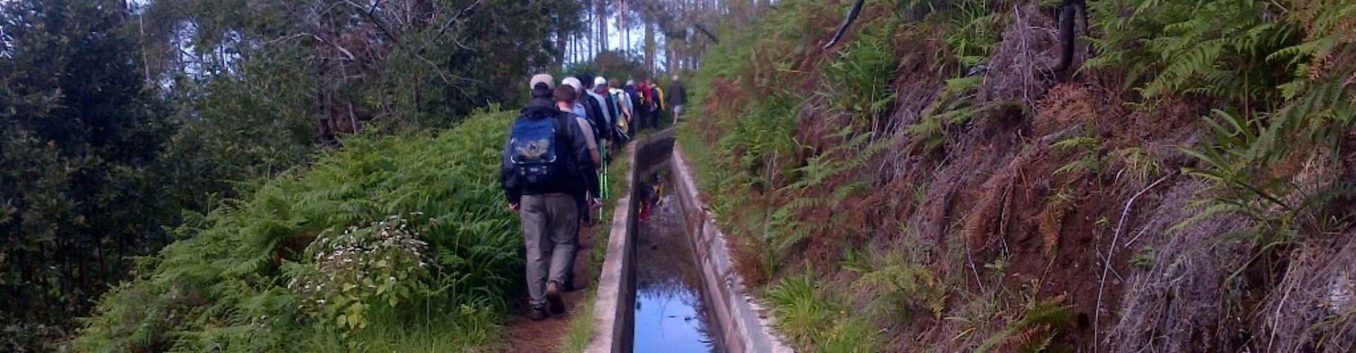 Prazeres to Ponta do Pargo Levada Walk in Calheta, Madeira