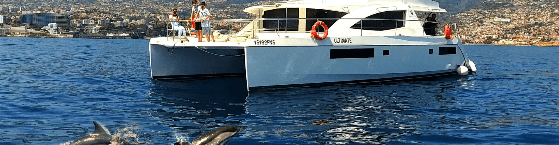 Private Whale Watching Trip of 3h from Funchal