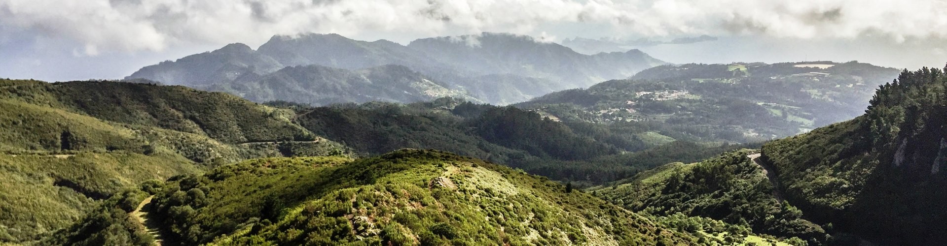 Santo da Serra Medium Trail Tour  in Madeira Island