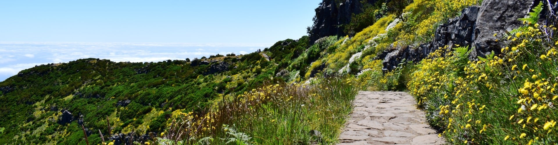 Sky to Sea Walk Combo Forest Mountain and Coast