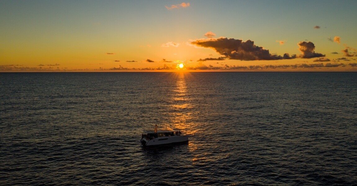 South Coast of Madeira in Solar Catamaran Trip