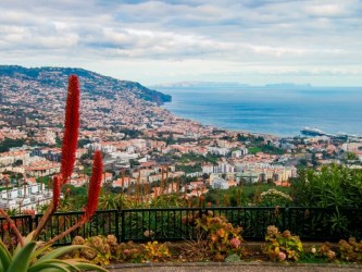 A Glance over Camara de Lobos and Funchal Tour