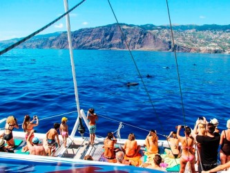 Amazing Land & Sea Pack Jeep Tour and Dolphins from Funchal