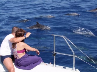 Amazing Land & Sea Pack Jeep Tour and Dolphins from Funchal