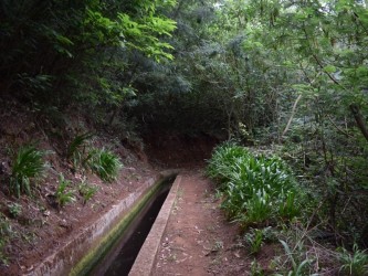 Among Valleys Levada Walk in Camacha