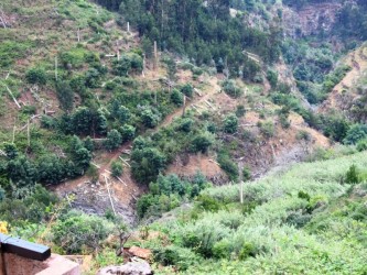 Among Valleys Levada Walk in Camacha