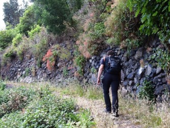 Among Valleys Levada Walk in Camacha