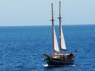 Beautiful Bays Boat Trip From Funchal