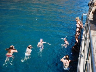 Beautiful Bays Boat Trip From Funchal