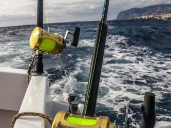 Big Game Fishing in Madeira Private Trip