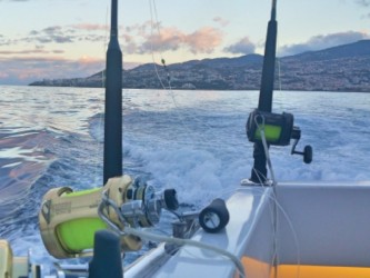 Big Game Fishing in Madeira Private Trip