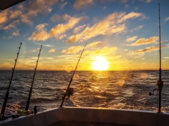 Big Game Fishing in Madeira Private Trip