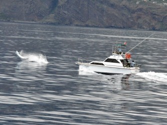 Big Game Fishing in Madeira Private Trip