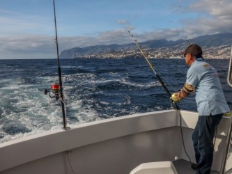 Big Game Fishing in Madeira Private Trip