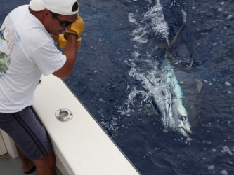 Big Game Madeira Sportfishing Shared Boat